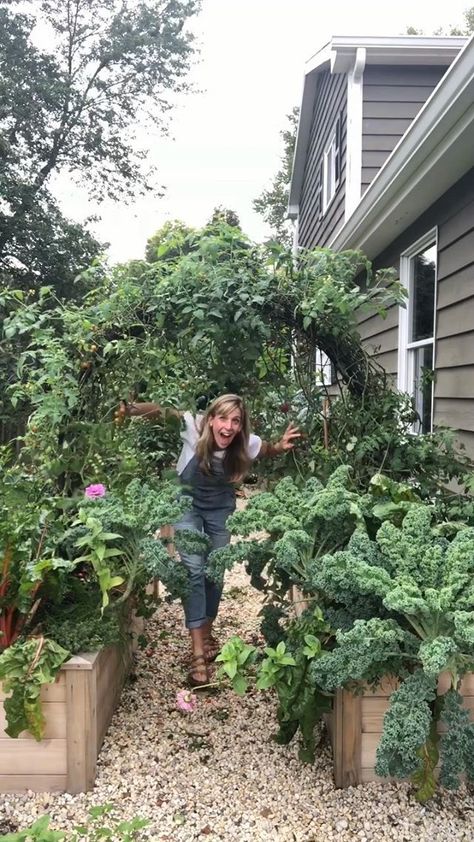 Rooted Garden, Bed Arch, Growing Irises, Arch Trellis, Vegetable Garden Diy, Potager Garden, Veg Garden, Pollinator Garden, Diy Garden Projects