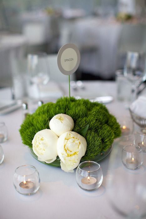 Minimalist Centerpiece, Peonies Centerpiece, Bridal Shower Centerpieces, Modern Minimalist Wedding, Minneapolis Wedding, Flowers And Greenery, Deco Floral, Wedding Tablescapes, Table Flowers