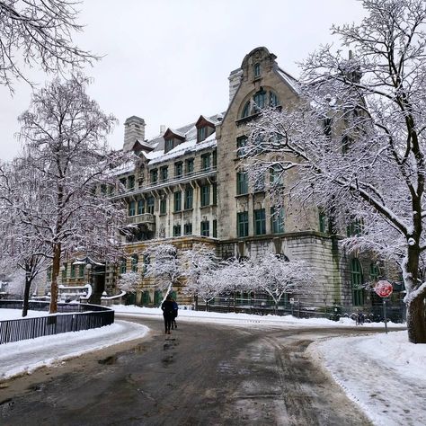 McGill . #Montreal #Quebec #McGill #Winter #mtlmoments #HiverauQuebec Winter Semester, Mcgill University, Mount Royal, Life Vision Board, Dream College, Dream School, Of Montreal, Montreal Quebec, University Of Toronto