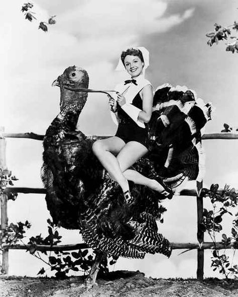 Keeping it ladylike while riding sidesaddle -- on a MONSTER. | 13 Bizarre Vintage Thanksgiving Pinups Retro Thanksgiving, Weird Vintage, Happy Turkey Day, Thanksgiving Images, Vintage Thanksgiving, First Thanksgiving, Happy Thanksgiving Day, Funny Thanksgiving, Vintage Holiday