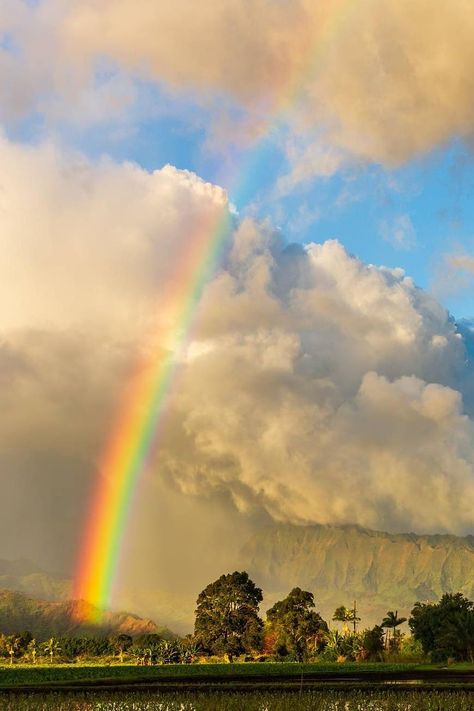 Rainbow / Arc-en-ciel / Image by lightsourcekauai (Lee Scott) from instagram Arc En Ciel Aesthetic, Ciel Aesthetic, Inktober 2024, Big Battle, Clear Sky, From Instagram, Fairy Tale, Good Vibes, Mood Boards