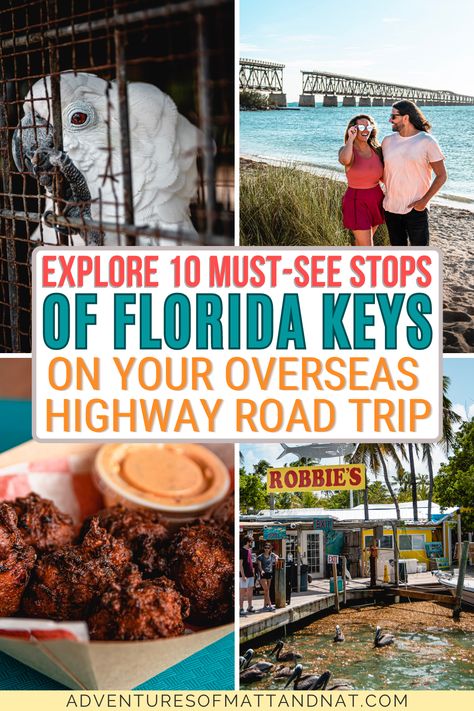 Florida Keys Road Trip, Dunedin Florida, Southern Travel, Places In Florida, Road Trip Destinations, Vacation Usa, The Florida Keys, Visit Florida, Usa Travel Destinations