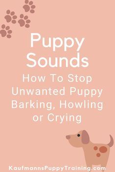 We all know barking We all know barking is a part of a puppys language; however sounds like howling whining barking and crying can drive us and our neighbors crazy. If you live out in the country with few and distant neighbors you might have a more relaxed view on puppy barking. Since most of us do not live in a rural area puppy sounds are not funny. Click to Learn How To Stop Unwanted Puppy Barking Howling or Crying at KaufmannsPuppyTraining.com Stop Puppy Barking, Puppy Sounds, Puppy Whining, Out In The Country, Puppy Barking, Crate Training Puppy, Dog Cuddles, Puppies Tips, Potty Training Puppy