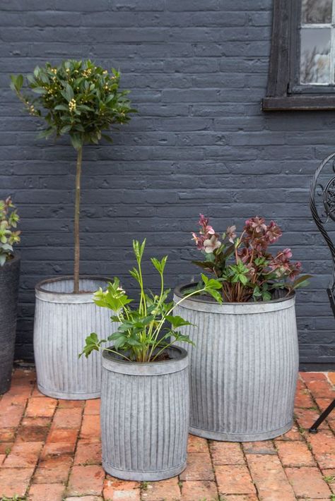 Unique Garden Ideas, Large Garden Planters, Large Flower Vases, Galvanized Planters, Garden Decor Diy, Rockett St George, Face Planters, Unique Planter, Unusual Plants