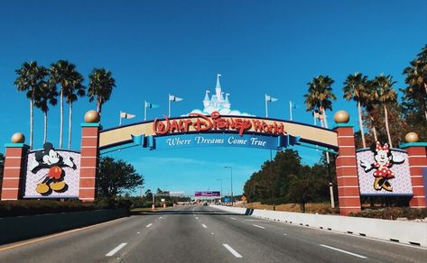 Existe tanto conteúdo sobre a Disney na Internet que as vezes a gente fica um pouco tonto. Entenda aqui os primeiros passos para planejar sua viagem. ONDE FICA A DISNEY É muito comum confundir a Disneyland com o Walt Disney World quando nunca se foi aos parques. Na verdade, Disneyland (ou Disneylandia) é o parque de Anahein, na Califórnia, enquanto o complexo Walt Disney World fica na cidade de Lake Buena Vista, na Flórida, coladinho nas cidades de Orlando e Kissimmee. Aqui estamos falando do Wa Typhoon Lagoon, Disney Parque, Blizzard Beach, Disney Orlando, Disney World Parks, Disney S, Walt Disney Company, Nova York, Hollywood Studios