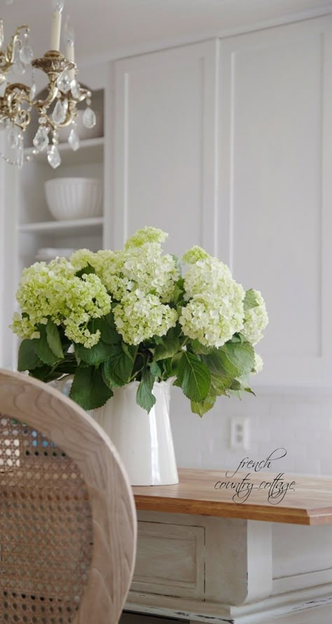 hydrangeas, fresh, kitchen, Alum  Alum keeps cut hydrangeas fresh longer! Truck Garden, Hydrangea Vase, Table Flower Arrangements, Alpine Plants, Hydrangea Not Blooming, Green Hydrangea, Plant Garden, Garden Types, Flowers Arrangements