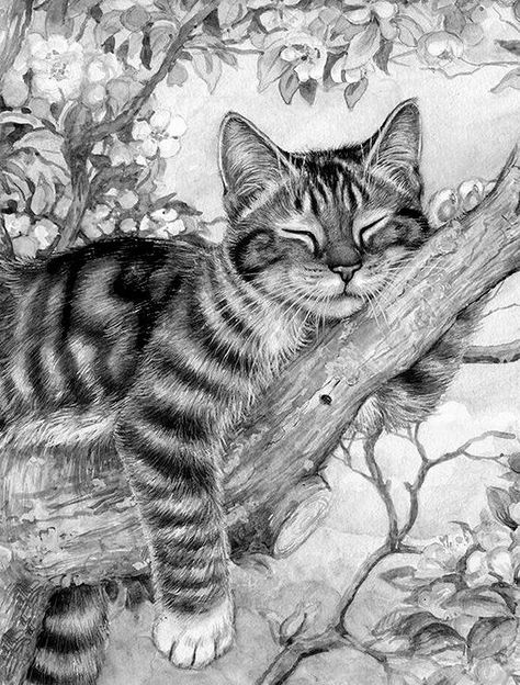 pencil drawing Cats Art Drawing, Pencil Drawings Of Animals, Cat Sketch, Drawing Faces, Cat Artwork, Cat Eyes, Pencil Art Drawings, Art Drawings Sketches Creative, A Pencil