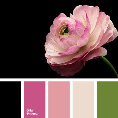 beige, black, bright pink, cool green, crimson, dark green, light pink, pale pink, saturated green, shades of pink. Black Green Pink Color Palettes, Pink Green Black Color Palette, Flat Bedroom, In Color Balance, Color Palette Ideas, Black Color Palette, Color Plan, Gold Color Palettes, Color Palette Challenge