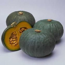 Kuri Stew, Pueblo Style Kuri Squash Recipe, Japanese Winter, Squash Seeds, Kabocha Squash, Asian Vegetables, Cucumber Seeds, Garden Vegetable, Asian Garden, Seed Company