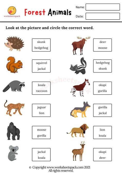 Animal Sounds Worksheet Kindergarten, Animals And Their Sounds Worksheets, Animal Sounds Worksheet, Animal Sounds Activity, Sound Of Animals, Kindergarten Animals, Animals And Their Sounds, Animals Worksheet, Preschool Worksheets Free Printables