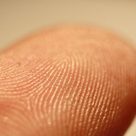 Fingerprints are the tiny ridges, whorls, and valley patterns on the tip of each finger unique to every human being. They form from pressure on a baby's tiny, developing fingers in the womb. Other than biometrics, fingerprints also have a vital role in a person’s sense of touch as it helps them feel fine textures and minuscule objects. It may also aid humans in gripping rough surfaces, or that they may allow their skin to stretch more easily, making it less susceptible to injury. Finger Print Photography, Fingerprint Aesthetic, Fingerprint Photography, Human Form Photography, Perfect Fingers, Human Features, Human Finger, Inktober 2024, Art Final