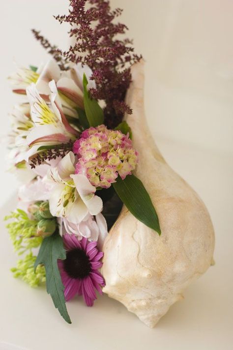 Conch Shell Fresh Flower Boutiques: Shell Centerpieces, Conch Shells, Beach Flowers, Flower Boutique, Serial Entrepreneur, Shell Decor, Fresh Flowers Arrangements, Seashell Crafts, Deco Floral