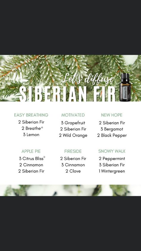 Siberian Fir Diffuser Blends, Essential Oil Combos, Aromatherapy Oil Blends, Doterra Blends, Doterra Diffuser, Siberian Fir, Doterra Diffuser Blends, Wild Orange, Essential Oil Diffuser Blends