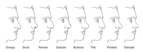 nose types Nose Shapes Chart, Male Nose, Nose Piercing Care, Greek Nose, Human Nose, Body Description, Different Nose Shapes, Type Chart, Nose Types