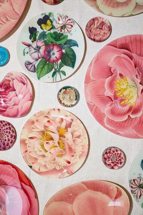 Discover John Derian’s inimitable decoupage with this Variegated Camellia Plate. Delight at this reproduced print from John Derian’s vast collection of antique and vintage archive imagery. Collaged paper is delicately placed under handblown glass. Handmade in their New York City studio. John Derian Plates, John Derian Decoupage, Rosé Close Up, Purple Dahlia, Pink Dahlia, Pink Poppy, Heart Dish, Blue Corn, Blue Cornflower