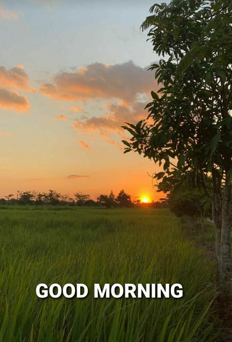 Good Morning With Nature, Nice Good Morning Images, Good Morning Clips, Happy Independence Day India, Good Night Beautiful, Sunrise Pictures, Happy Morning Quotes, Daily Blessings, Morning Quote