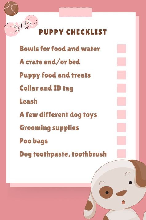 Puppy Check List, Dog Essentials Products, Dog Supplies List, New Puppy Checklist, Puppy Checklist, Dogs Images, Dog Toothpaste, Puppy Mom, Cute Dogs Images