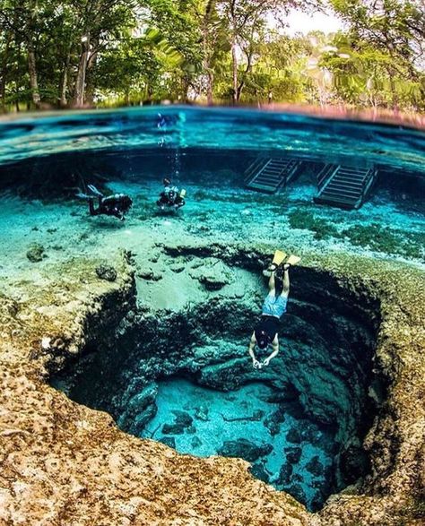 Ginnie Springs Florida, Ginnie Springs, Florida Springs, Magic Places, Springs Florida, Vacation Places, Florida Travel, Alam Yang Indah, Pretty Places