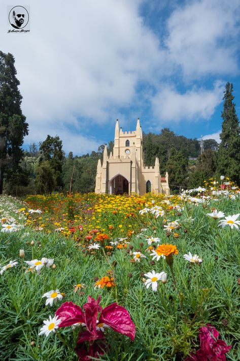 Ooty India Photography, Ooty Tamilnadu, Ooty Trip, Trip Painting, Heart In Nature, Types Of Architecture, Saint Stephen, India Photography, Church Flowers