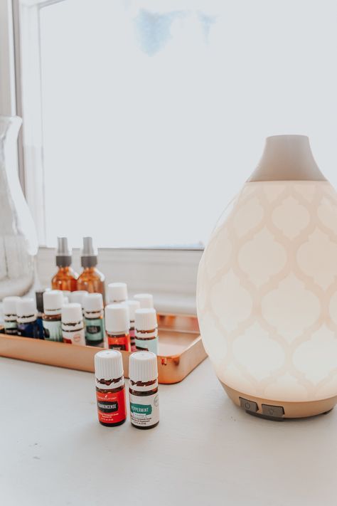 Diy Essential Oil Blends, Diffuser Blends Young Living, Young Living Starter Kit, Best Diffuser, Young Living Diffuser, Sunroom Ideas, Diy Essentials, Sage Oil, Chamomile Oil