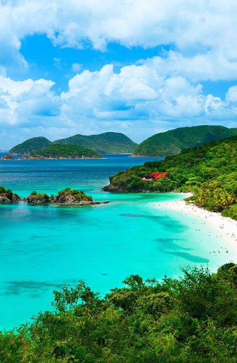 Virgin Islands National Park, St Thomas Usvi, Fauna Marina, United States Virgin Islands, Caribbean Vacations, South Beach Miami, Us Virgin Islands, Exotic Places, Saint John