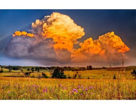 Landscape Canvas and Metal Print Wall Art, Stormy Sunset Prairie Photo, Rural Wall Decor Photography, Fine Art Print Midwest Landscape, Midwest Art, Prairie Landscape, Stormy Sunset, Rural Photography, Sky Island, Felting Ideas, Decor Photography, Photography Fine Art