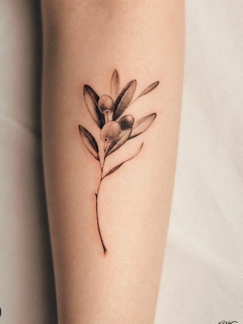 Olive Tree Tattoos, Olive Branch Tattoo, Olive Plant, Branch Tattoo, Tasteful Tattoos, Plant Tattoo, Unique Tattoo Designs, Tree Tattoo, Olive Branch