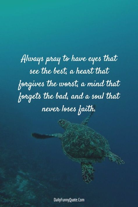 Encourage Quotes, Turtle Quotes, Positive Quotes About Life, Inspirational Quotes Images, Choosing Happiness, Always Pray, Motivational Inspirational Quotes, 40th Quote, Inspirational Quotes With Images