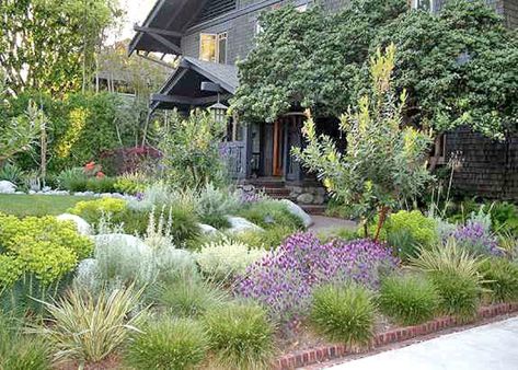 A frontyard is crafted to match a Greene & Greene Craftsman home in Pasadena - Los Angeles Times Craftsman Landscaping, Native Plant Gardening, Grasses Landscaping, Easy Landscaping, Low Maintenance Landscaping, Garden Shrubs, Front Lawn, Front Yard Garden, Yard Design