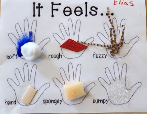 Sense Touch Activities, 5 Sense Arts And Crafts, Sense Of Touch Sensory Bin, Touch Sense Activities Preschool, Sense Of Touch Crafts Preschool, Five Sense Arts And Crafts, Touch Senses Activities, The Five Senses Kindergarten, 5 Senses Touch Activities