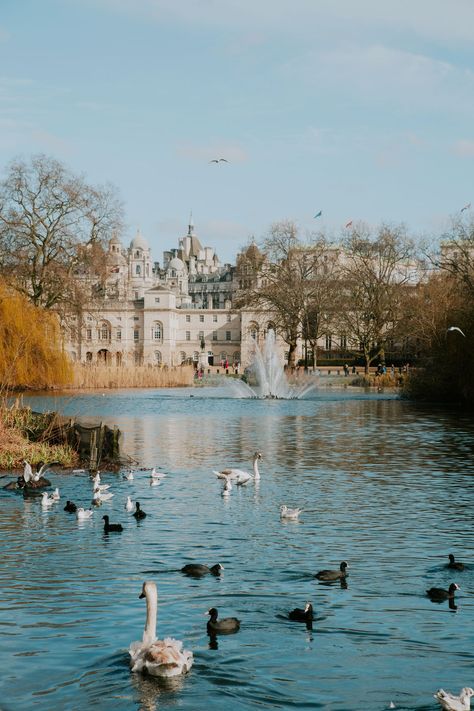 Seaside Photoshoot, London In Spring, St James Park London, Whitehall London, Places To Visit In London, London Sightseeing, Places In London, Famous Food, St James Park