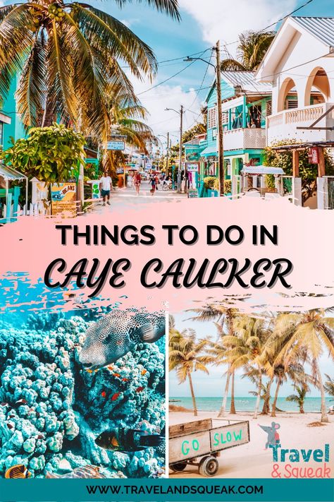 Belize Caye Caulker, 2023 Plans, Swim With Sharks, Belize Travel Guide, Caye Caulker Belize, Belize Barrier Reef, Aruba Travel, Belize Vacations, Caye Caulker