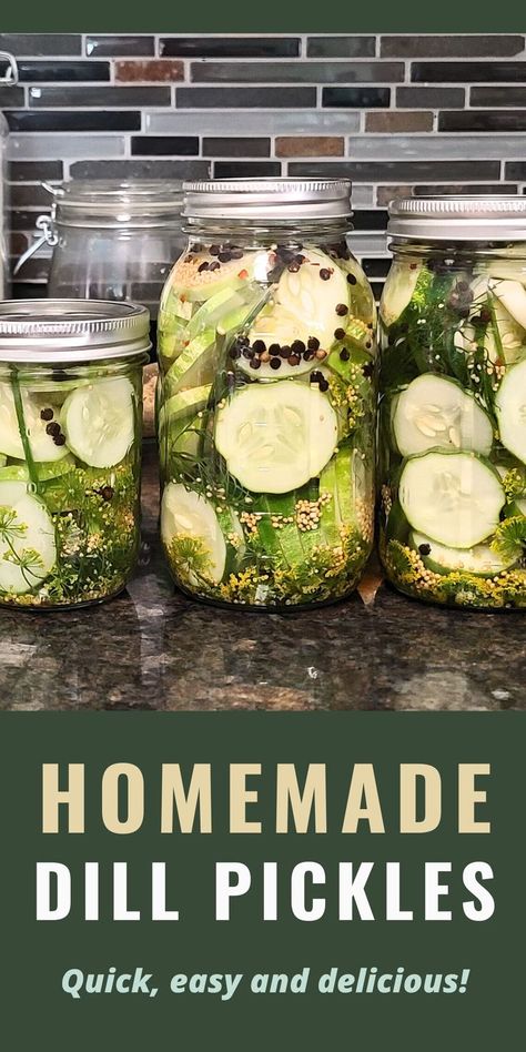 Homemade refrigerator dill pickle recipe that is quick and easy to make Crispy Dill Pickle Recipe, Easy Pickle Recipes, Easy Dill Pickle Recipe, Easy Dill Pickles, Homemade Dill Pickles, Pickles Homemade, Refrigerator Dill Pickles, Refrigerator Pickles Dill, Easy Pickling Recipes