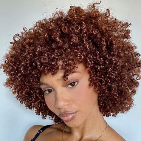 4b Hair Color Ideas, Short Curly Ginger Hair Black Women, Natural Hair Cuts Shape Medium Lengths, Auburn Hair Color On Black Women Natural, Copper Curly Hair Black Women, Honey Brown Afro, Auburn Natural Hair, Brown Ginger Hair Black Women, Dark Ginger Curly Hair