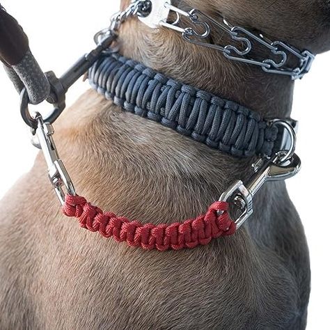 Amazon.com: Dog Collar Safety Leash for Prong Collar Back Up Strap Clip (Red) : Handmade Products Prong Collar, Dog Things, Comfortable Life, Collar Choker, Dog Gear, Popular Products, Silver Coat, Choker Collar, Handmade Products