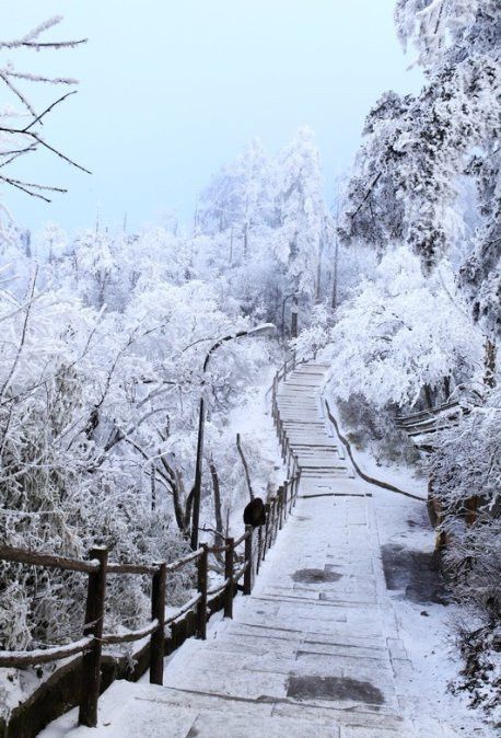 Snow view of E'mei Mountain, in Leshan City, Sichuan Province, China Winter In China, Snow In China, Snowy Kingdom, Snow Architecture, China Mountains, Snow Kingdom, China Snow, Ancient China Aesthetic, China Winter