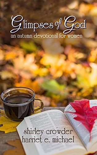 Fall Devotionals For Women, Womens Day Theme, Short Devotions, Devotional For Women, Women Devotional, Secret Sister, Writers Conference, Study Notebook, Church Ministry