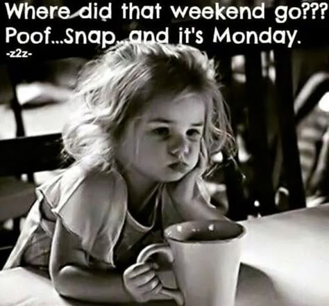 Monday Coffee Meme, Coffee Meme Funny, Self Esteem Kids, Monday Humor Quotes, Monday Morning Quotes, Monday Coffee, Morning Memes, Happy Weekend Quotes, Monday Humor