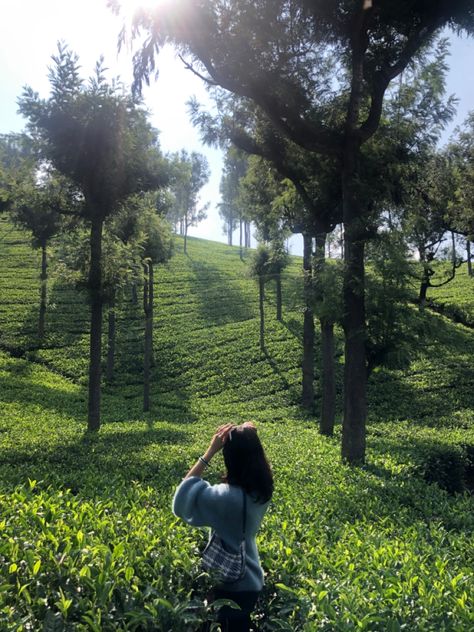 Kerala Photography Poses, Ooty Photography Poses, Coonoor Aesthetic, Wayanad Photography Poses, Nature Pic Ideas, Ooty Trip Aesthetic, Poses In Kerala, Valparai Photography, Darjeeling Photography Pose