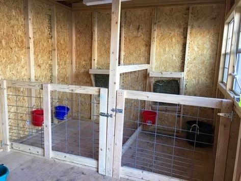 Pygmy Goat Pen, Goat Pen Ideas, Goat Playground, Goat Shed, Livestock Barn, Goat Shelter, Goat Pen, Barn Stalls, Show Goats