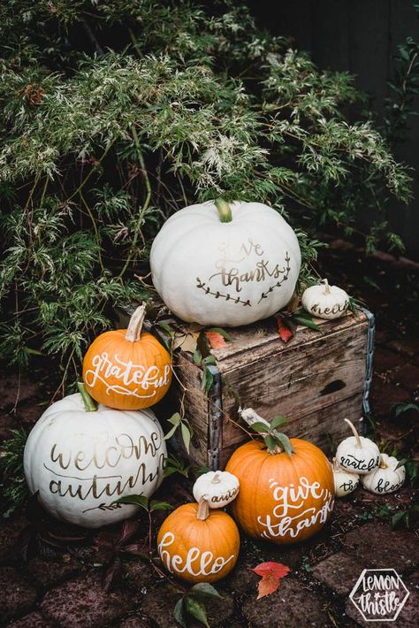 Small Pumpkin Painting, Small Pumpkin Painting Ideas, Decorating Pumpkins, Sunflower House, Pumpkin Painting Ideas, Halloween Memes, Ceramic Pumpkin, Pretty Pumpkins, Fall Stuff