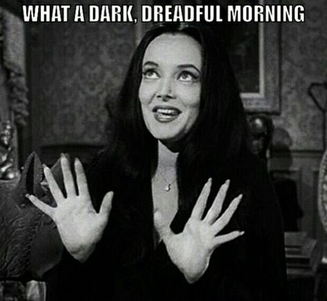 Goth Humor, Sleep Hypnosis, Goth Memes, Emo Dark, Fall Asleep Instantly, Fall Asleep Fast, Carolyn Jones, Goth Subculture, Adams Family