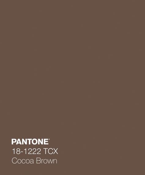 Brown Color Swatch, Brown Swatch, Pantone Brown, Brown Widget, Brown Pantone, Soft Summer Palette, Pantone Color Chart, Agency Branding, Colour Swatches