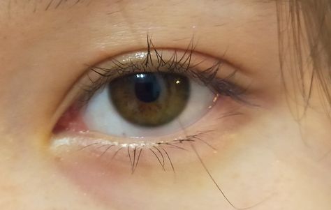 Brown Eyes With Green Flecks, Greenish Brown Eyes, Brown Eye, Story Of The World, Drawing Inspo, End Of The World, Female Character, Brown Eyes, Green Eyes