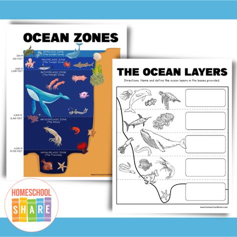 Ocean Zones Worksheets (free!) - Homeschool Share Ocean Zones Printable, Ocean Zones Project, Layers Of The Ocean Activities For Kids, Ocean Zones For Kids, Ocean Diagram, Zones Of The Ocean, Ecosystem Worksheets, Ocean Education, Ocean Layers