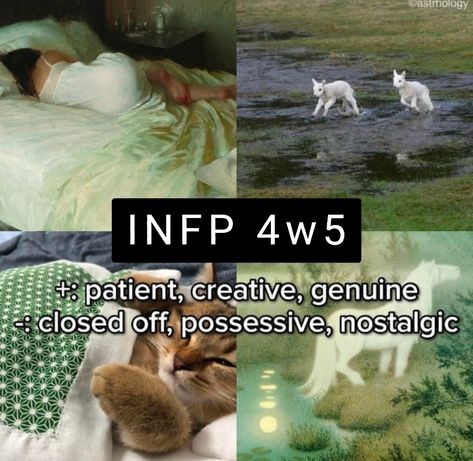 INFP personality, INFP 4w5, INFP 4 wing 5, INFP-T, INFP-T personality, INFP traits, INFP characteristics, INFP strengths, INFP weaknesses, INFP introvert, INFP creative, INFP artist, INFP writer, INFP deep thinker, INFP emotions, INFP feelings, INFP self-expression, INFP authenticity, INFP individuality, INFP identity, INFP personal growth, INFP self-discovery, INFP psychology, INFP analysis, INFP perspective, INFP mindset, INFP growth, INFP development, INFP insights, INFP relationships Infp Movie List, Infp Mood Board, Infp 4w5 Aesthetic, Infp Weaknesses, Infp Villain, Infp Strengths, Infp Feelings, Dating An Infp, Infp Psychology