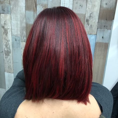 Wine Hair, Red Hair Inspo, Dark Hair With Highlights, Red Highlights, Short Hair Color, Haircut And Color, Tone Hair, Hair Inspo Color, Short Curly Hair