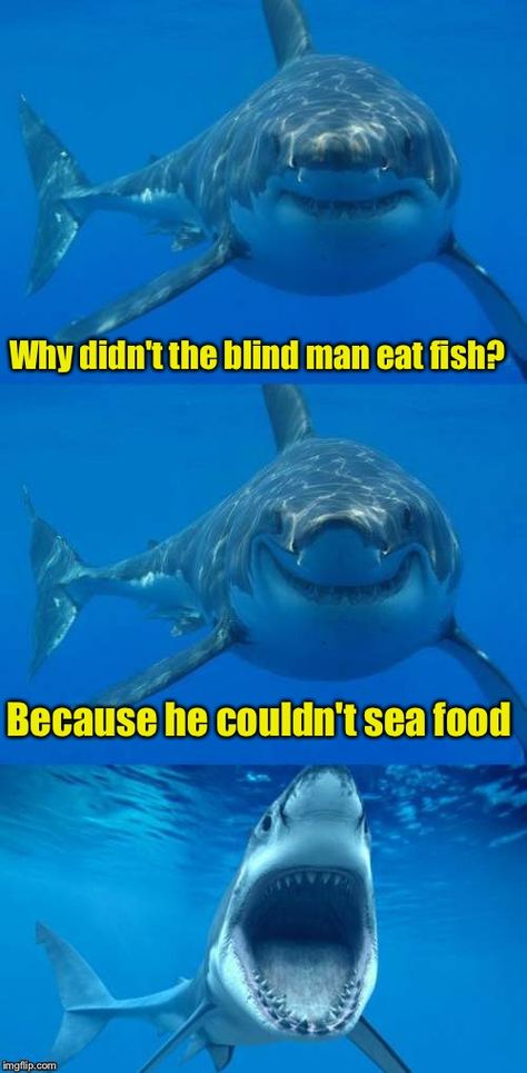 Why didn't the #blindman eat #fish ? He couldn't #SeaFood #LetsGetWordy Shark Week Memes, Shark Jokes, Shark Meme, Shark Puns, Fishing Jokes, Shark Facts, Shark Pictures, Sharks Funny, Fishing Quotes