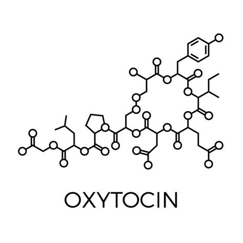 Love Chemical Formula, Chemical Structure Tattoo, Chemical Tattoo, Molecule Art, Symbol For Love, Molecule Tattoo, Airway Management, Chemical Structure, Molecular Structure