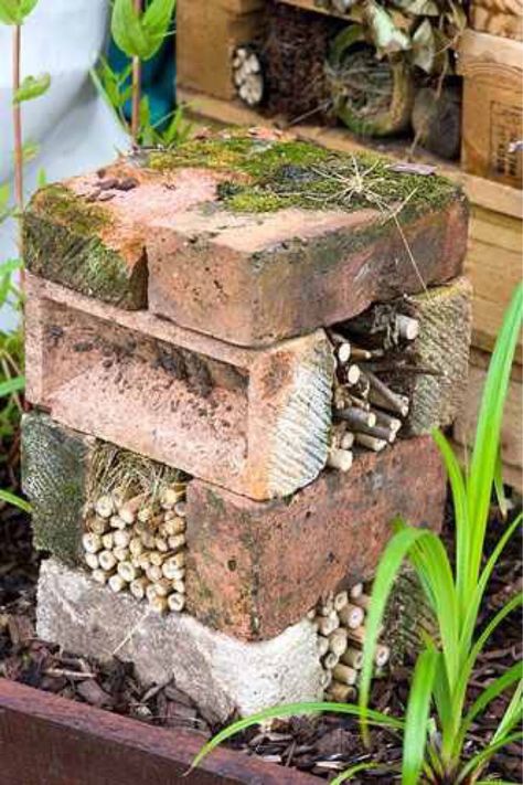 Bug Motel, Bug Houses, Bug Hotels, Bug House, Diy Garden Landscaping, Bee Friendly Garden, Brick Projects, Bee Hotel, Bug Hotel